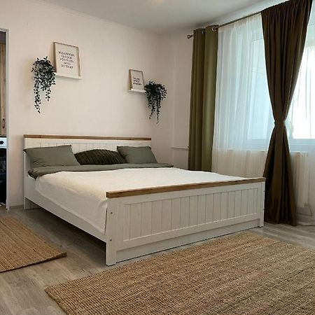 Carol Apartament'S Timişoara Eksteriør bilde