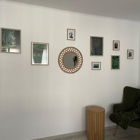 Carol Apartament'S Timişoara Eksteriør bilde