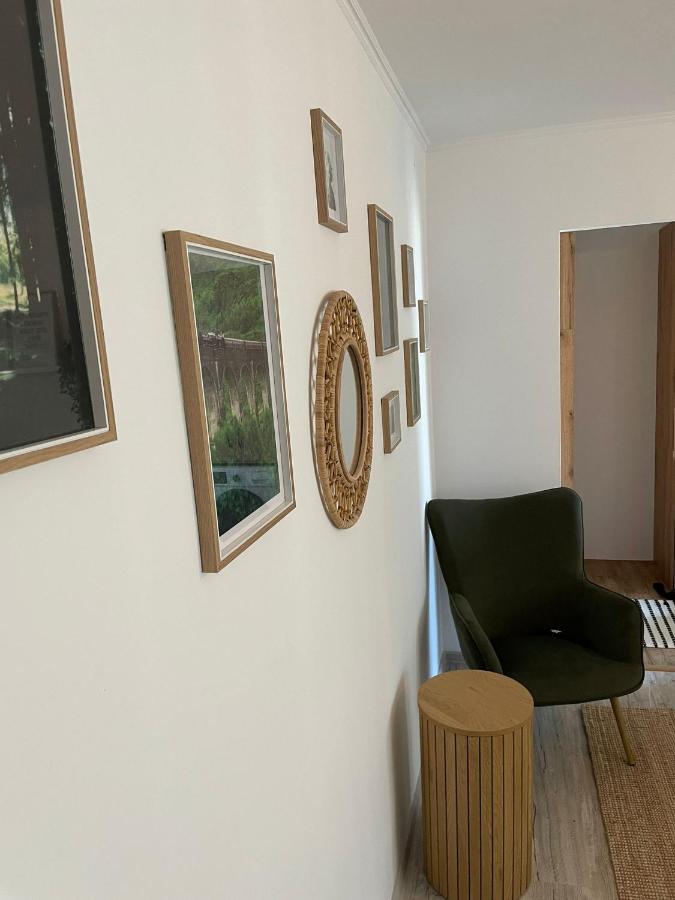 Carol Apartament'S Timişoara Eksteriør bilde